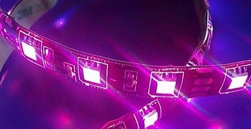 厂家特价销售5050LED白光灯带  一米60灯   表面滴胶 LED软灯条
