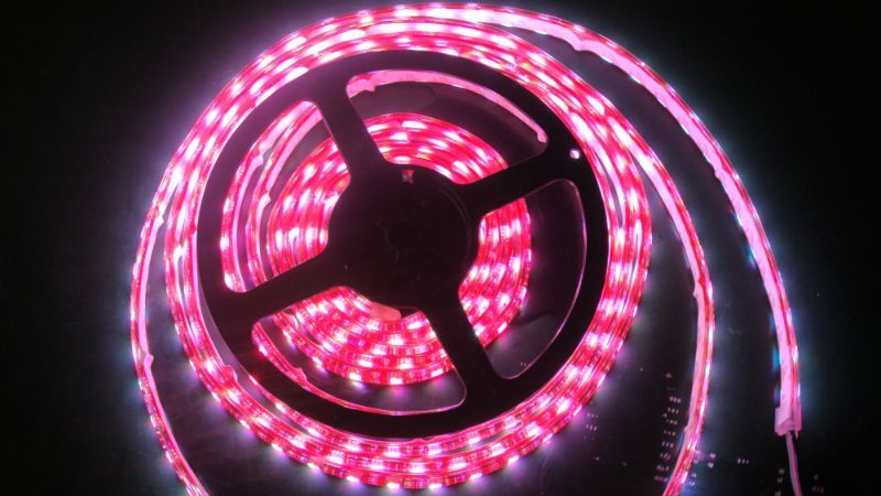 厂家直销LED3528灯条（红光）  LED软灯条生产厂家