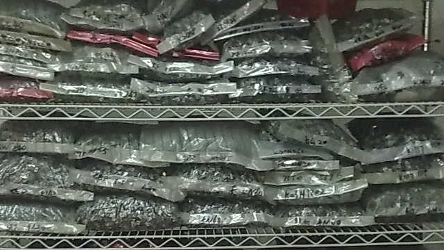 供应IGBT场效应 RJP3045 RJP3034 液晶配件 苏鑫电子_电子元器件_维库仪器仪表网