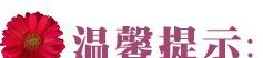 生产供应 汽车插头连接器 连接器插孔