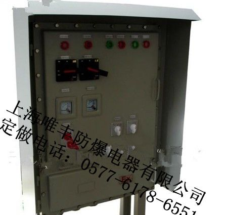 供应立脚式防爆配电箱/户外型（防雨罩）防爆配电箱