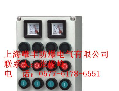 供应BXK51系列防爆控制箱/防爆控制柜（IP54）