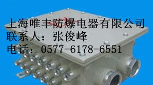 供应IIB级防爆接线箱|铸铝BXJ系列防爆接线箱