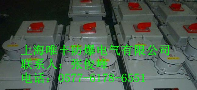供应防爆检修箱|BXX51系列防爆检修箱（户外型配防护柜）
