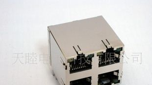 供应RJ45-TM5JB88-2*2(图)