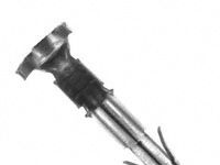 『AMP连接器(端子),350538-3 现货』