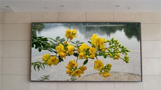 供应室内全彩色LED显示屏,led显示屏厂家，广州led显示屏