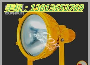供应BTC8210 防爆投光灯 250W防爆投光灯，BTC8210高效投光灯，BTC8210防震投光灯