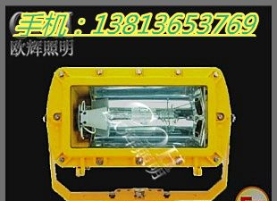 供应DGS70/127B(A)防爆平台灯，防爆泛光灯，吊杆泛光灯，防爆平台灯厂家_防水防尘平台灯，防爆泛光灯