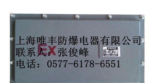 供应IIC级防爆接线箱