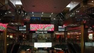 湖南石鼓区永星家居广场全彩LED广告屏