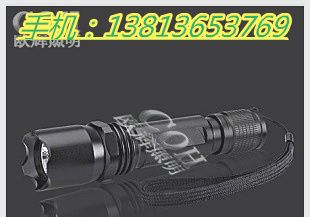 供应PD-BB1001-E1  防爆手电筒