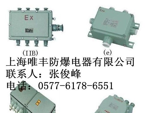 供应山东BJX51系列防爆接线箱/防爆端子接线箱（IIB、IIC）