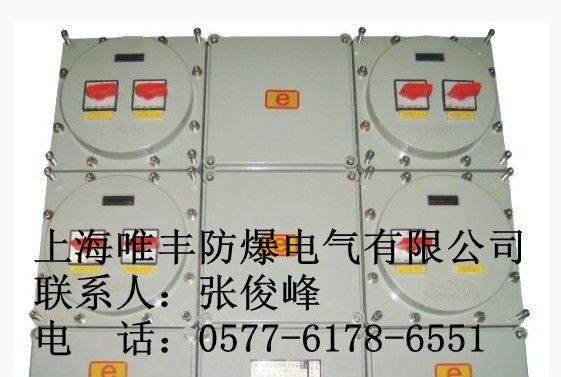 供应非标防爆配电箱/防爆照明配电箱（IIB）