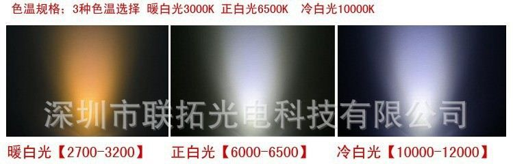【厂家直销　诚信经营】供应 LED软灯条,5050防水灯条,RGB幻彩灯