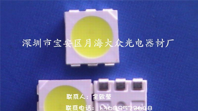 12-13流明5050白色贴片发光二极管