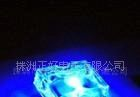 LED食人鱼白光