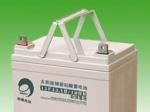 供应意大利非凡蓄电池