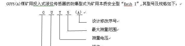 煤矿用投入式液位传感器