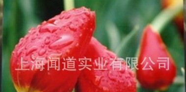 【高质量口碑好】P6全彩单元板