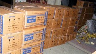 ZJ10-10AR SPS2-10电压互感器
