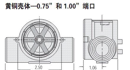 GEMS  可视型指示计RFI简单而可靠流的流量开关
