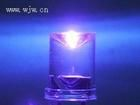 5MM单闪白光LED，爆闪单闪白，单闪暖白，单闪粉红，单闪紫