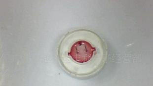 供应圆形数码管