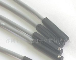 FESTO磁感应开关 SME-8 -10系列(图)