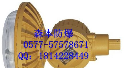 供应免维护厂用防爆无极灯
