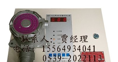 供应天然气泄漏报警器-泄漏报警器”