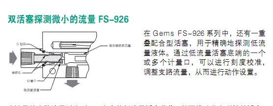 GEMS  FS-925/926系列可精确探测流量变化的流量开关