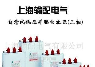 供应BAM(BFM)全膜高压并联电容器