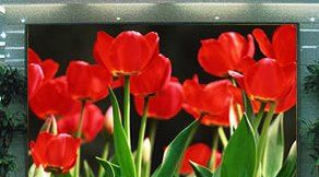 室内全彩表贴三合一LED电子显示屏制作厂家,LED显示屏制作