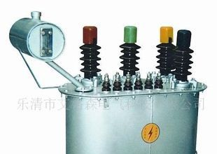 供应JSJW-10（JSXN-10）油浸电压互感器 艾格森