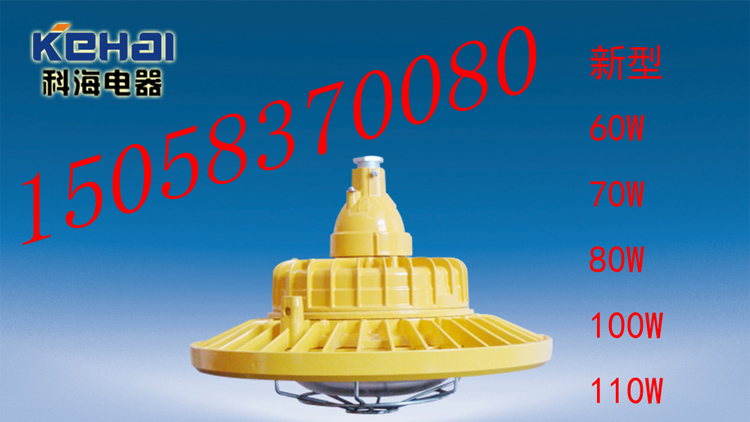 供应BED-III60免维护LED防爆灯，BED/III60W/LED防爆灯