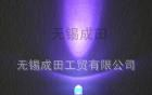 现货F5圆头紫光，F5紫光LED验钞灯 紫光led 紫光 led验钞灯  紫色
