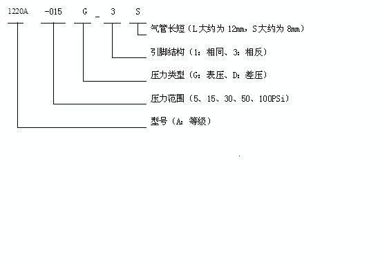 1210A-005G-3S 美国MSI传感器