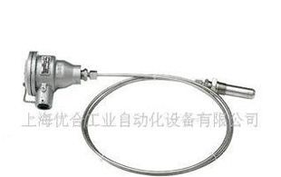 WZPK防爆,铠装,铂热电阻,PT100,(图)