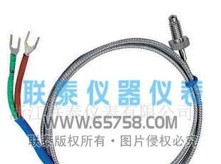WRX罗丁式热电偶 中天 吉祥集团