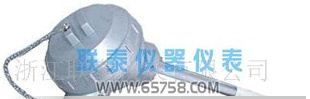 WRR系列双铂佬热电偶 光明 中天