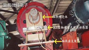 QCX-3 轴承座式称重传感器