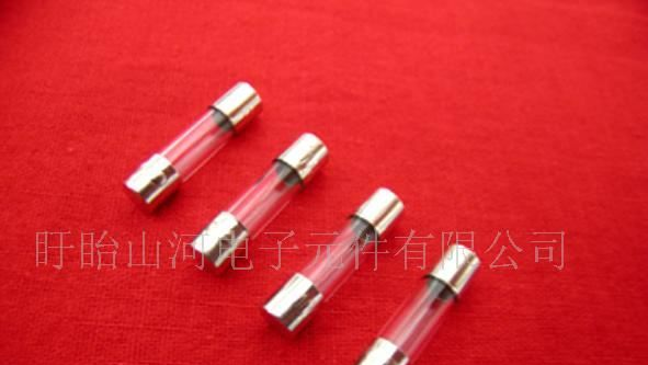 供应小家电专用保险丝(快断)3*10mm 0.5A~5A250V CQC CE认证