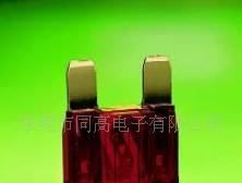 供应大号汽车保险丝，价格优惠，品质保证，交货快速