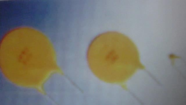 -55度一+125度保险丝