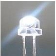 优质低价LED白灯 5MM草帽超亮LED(图)