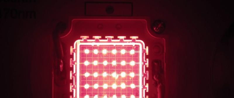 LED光源 30W大功率集成红光植物灯灯珠 光宏芯片 厂家直销