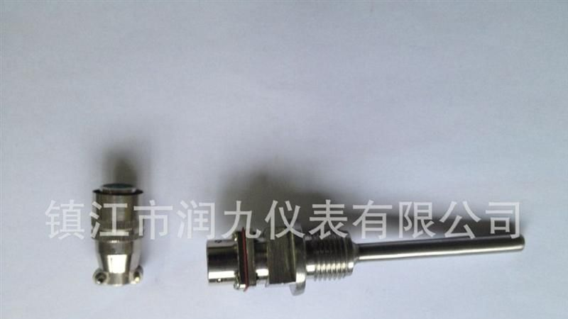 提供优质价廉 热电阻 铂热电阻 WZP-270   PT100