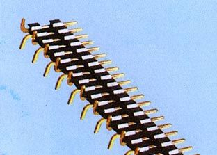 生产鱼刺排针，双塑排针，排母