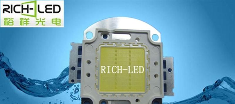 大功率LED/白光/LED20W集成大功率白光/集成大功率/集成面光源